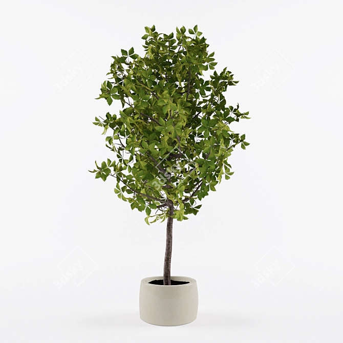Handcrafted Potted Tree | 1100mm 3D model image 1