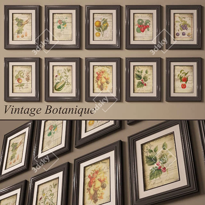 Vintage Botanical Fruit Paintings 3D model image 1