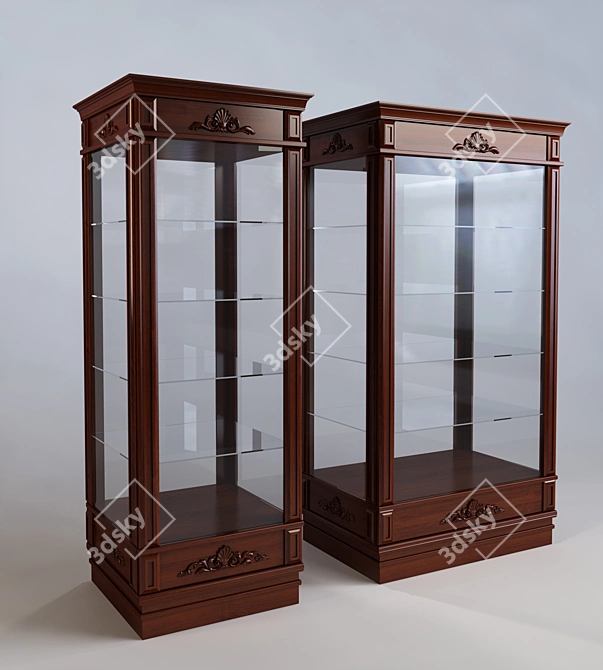 Elegant Glass Showcase 3D model image 1