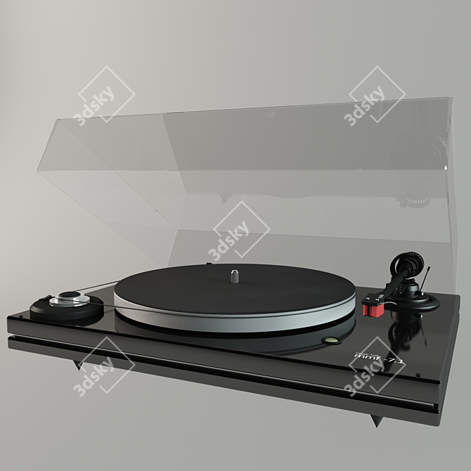 Title: Vinyl Music Hall - The Ultimate mmf-7.1 Experience! 3D model image 3