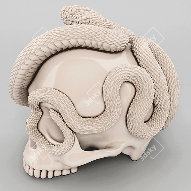 Mystic Serpent Ceramic Skull 3D model image 1