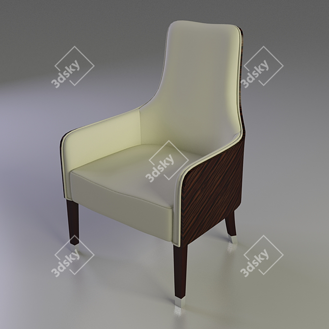 Elegant Art 80075-C Armchair 3D model image 1