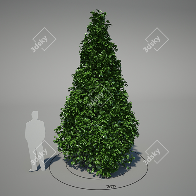 Title: Kobus Magnolia Tree - Pyramidal Shape, July Blossoms 3D model image 1