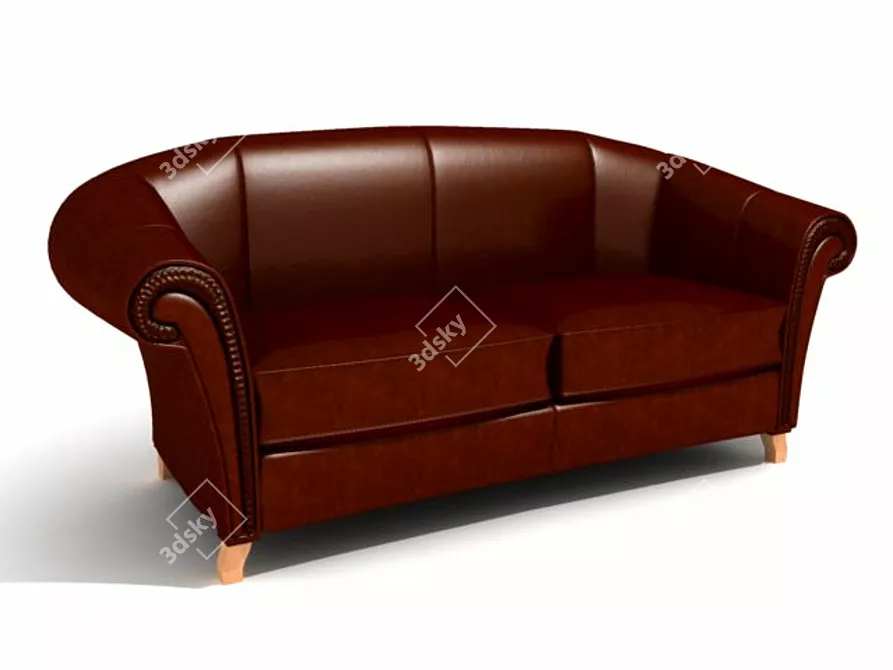 Classic Leather Sofa with Elegant Armrests 3D model image 1