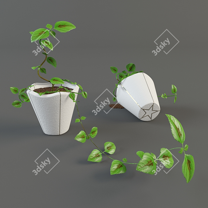 Fresh Green Plant 3D model image 1