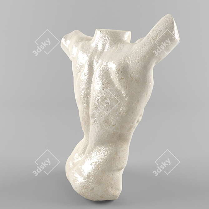 Sculpted Torso Mannequin 3D model image 2