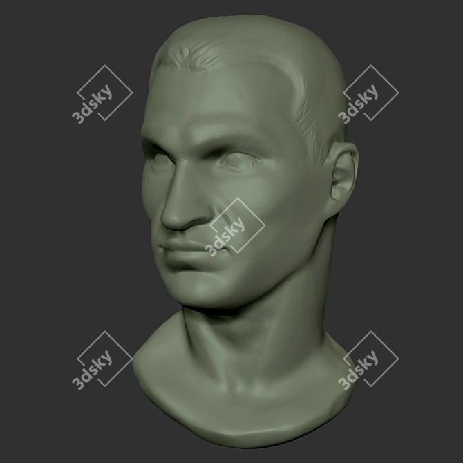 Title: Klitschko Heavyweight Boxing Bust 3D model image 1