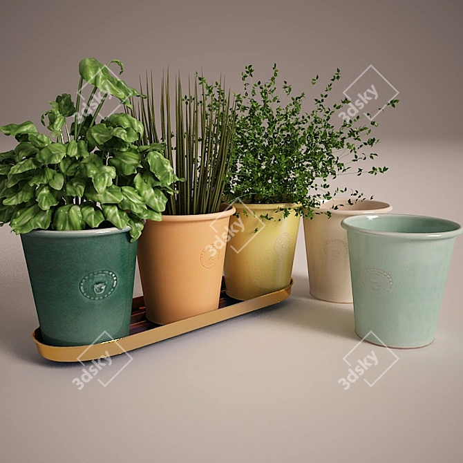 Elegant Brass Herb Pots 3D model image 1