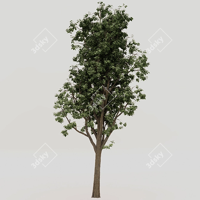 Houseplant Seal Brown 3D model image 1