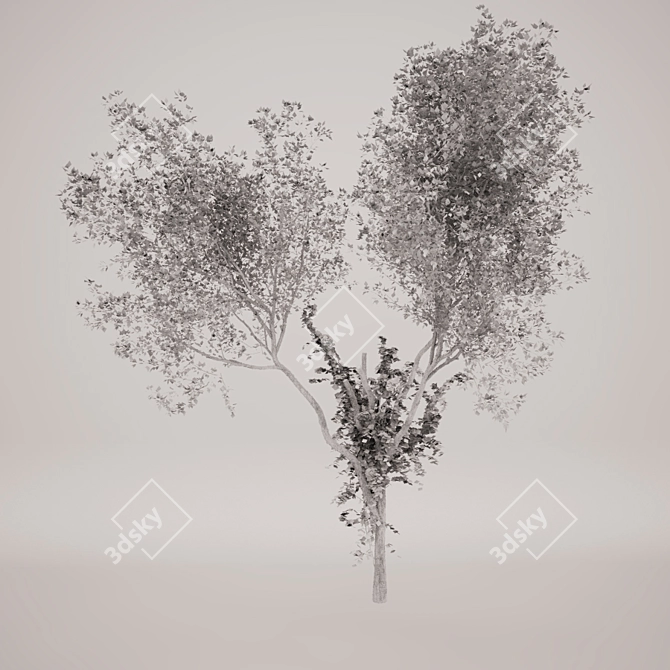 Nature's Beauty Tree_2 3D model image 2