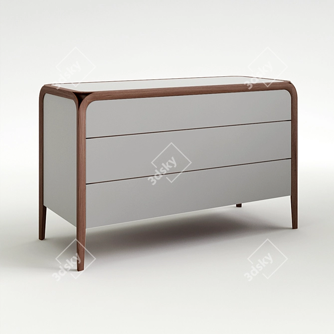 Modern Storage Cabinet E #4050 3D model image 1