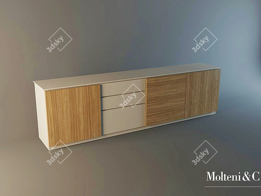 Molteni & C Cupboard: Functional Elegance 3D model image 1