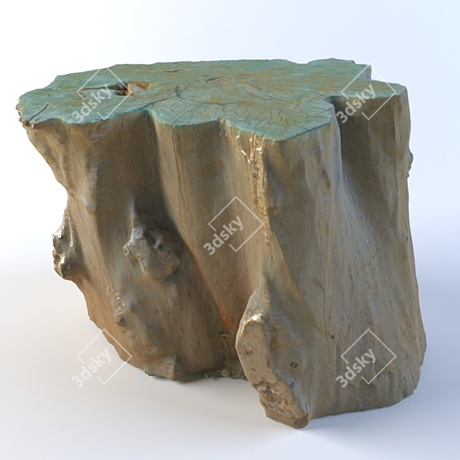 Natural Stump Table with Textures 3D model image 2