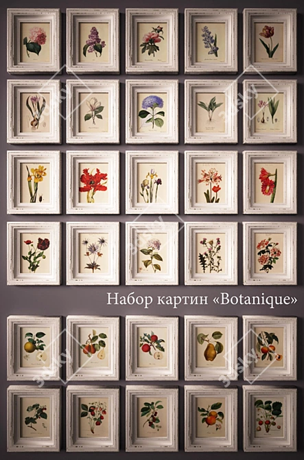 Title: PROFI Botanique Framed Floral and Fruit Paintings 3D model image 1