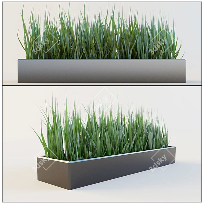 Quaint Grass-filled Flowerpot 3D model image 1