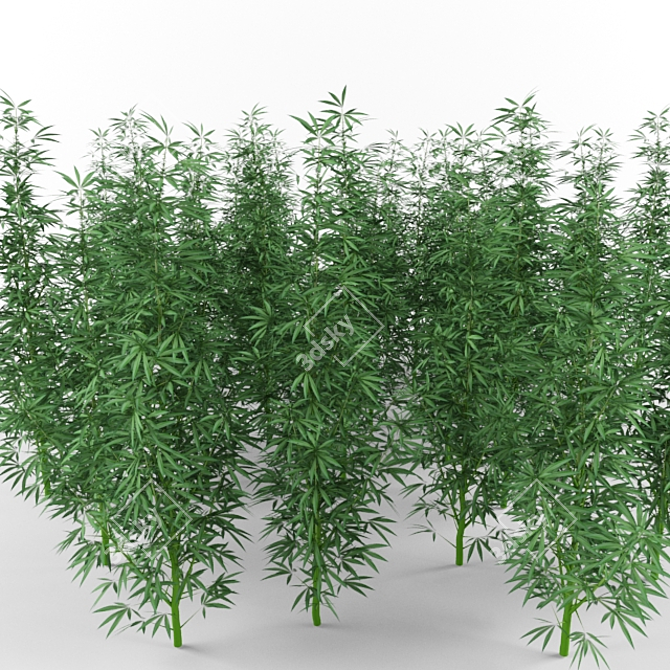 Organic Hemp Extract Oil 3D model image 1