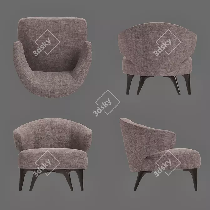 Luxury Minotti Aston Armchair 3D model image 2