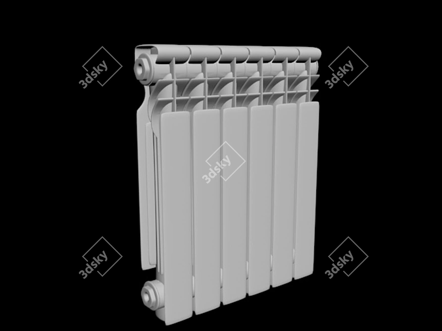 Aluminum Bimetal Radiator 3D model image 2