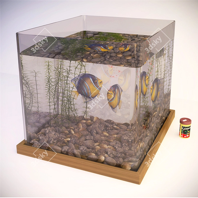 Exotic Angel Fish Aquarium 3D model image 1
