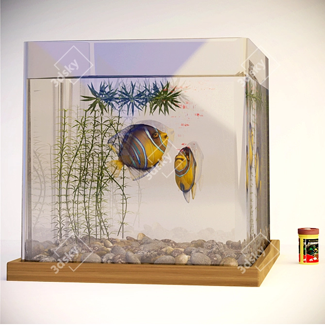 Exotic Angel Fish Aquarium 3D model image 2