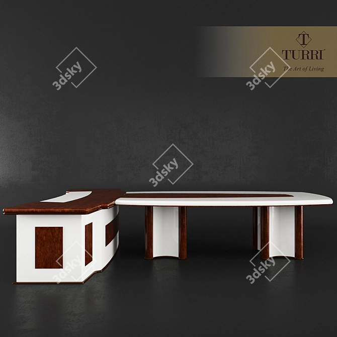 Turri Caractere Office Table: Italian Elegance for Your Workspace 3D model image 1