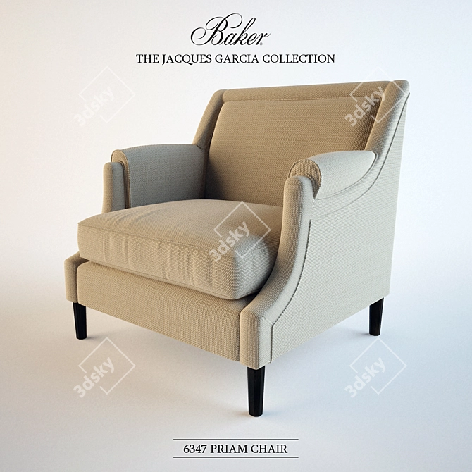 Jacques Garcia Priam Chair 3D model image 1