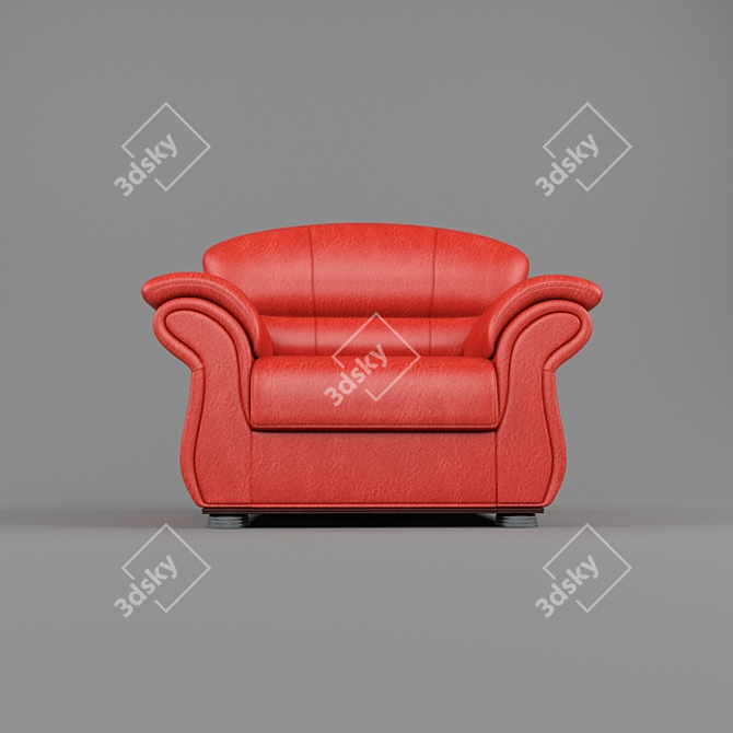 Red Leather Wheelchair 3D model image 2