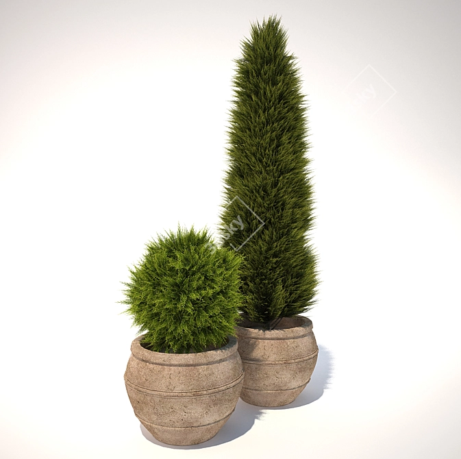 Lush Pot Plant 3D model image 1