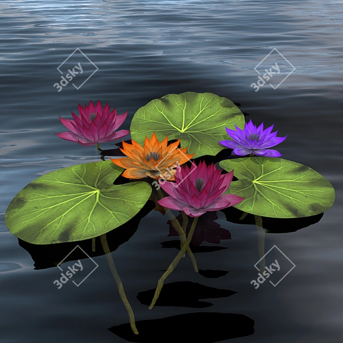 Aquatic Beauty: Waterlily 3D model image 1