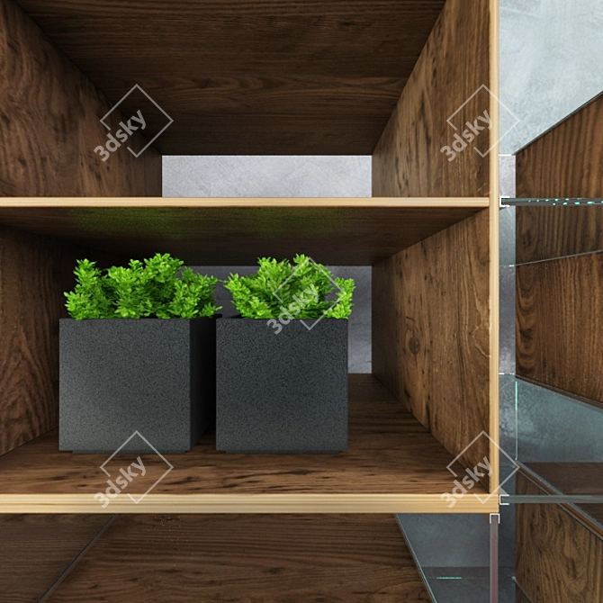 Lux Rack: Wild Oak & Walnut - Vases, Plants, Paper, Letters (2842x1539x590) 3D model image 3