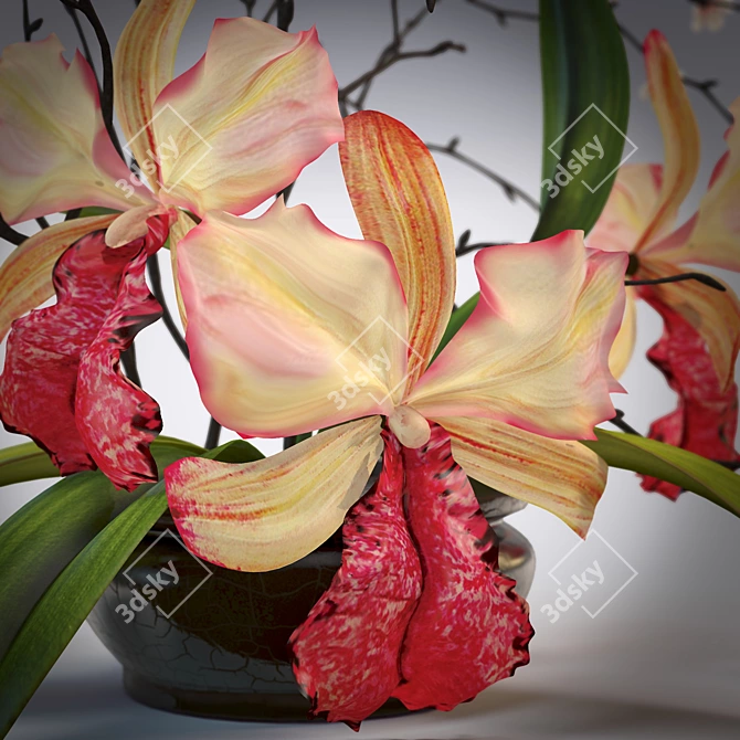 Orchid Harmony: Elegant Floral Arrangement 3D model image 3