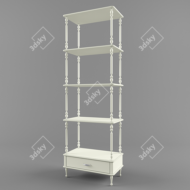 Versatile Storage Shelves 3D model image 1