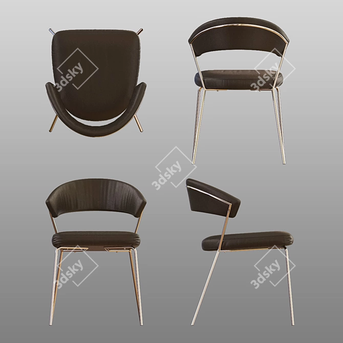 Sleek Metal Chair: Calligaris CS/1084 3D model image 3