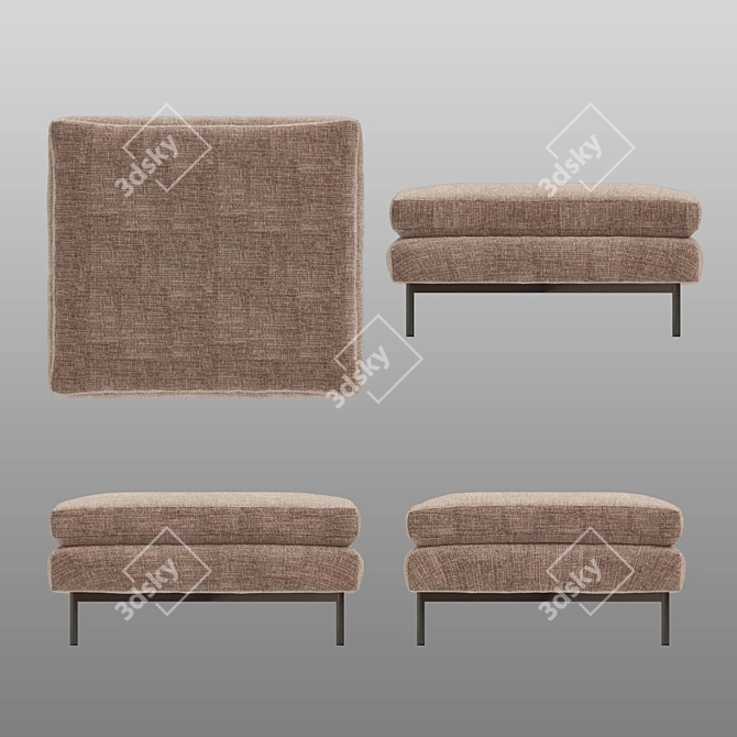 Anatomy Design DW Sofa Ottoman: Elegant and Functional 3D model image 3