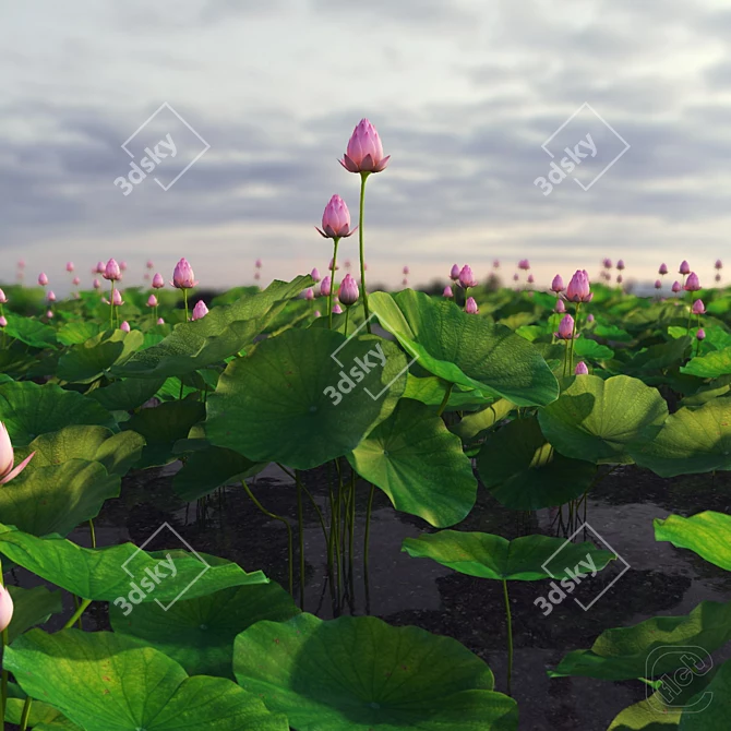 Ready-to-Scatter Lotus Plant 3D model image 1