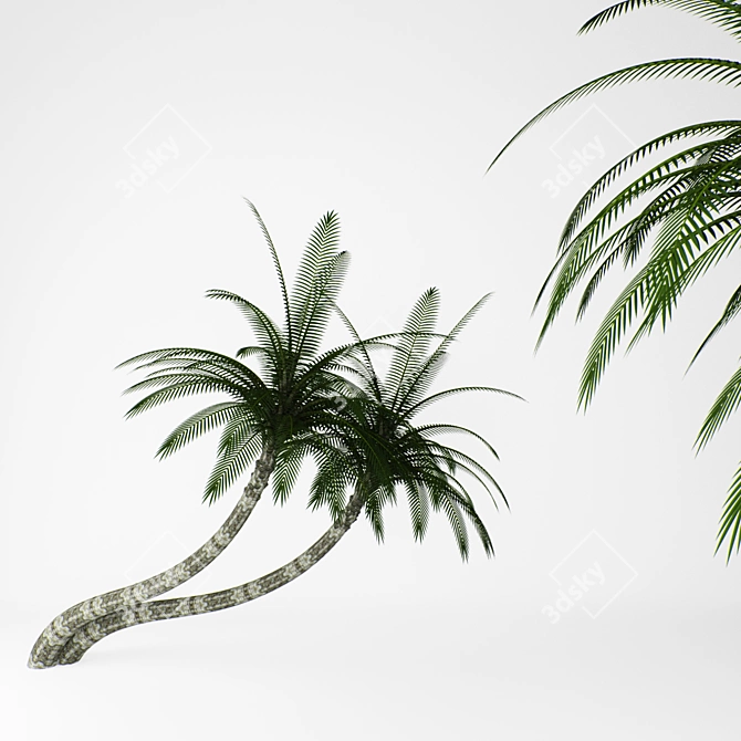 Tropical Paradise Palms 3D model image 2