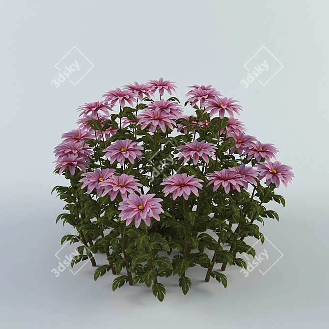 Blossoming Beauties: Chrysanthemums 3D model image 1