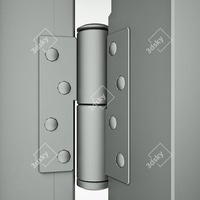 Simple Iron Entrance Door - 2000x900 Size 3D model image 1