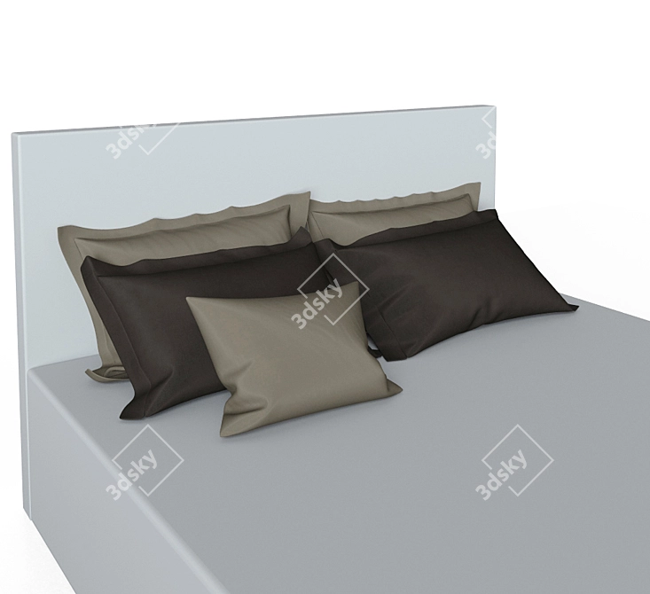 Unique Set of 5 Pillows 3D model image 1