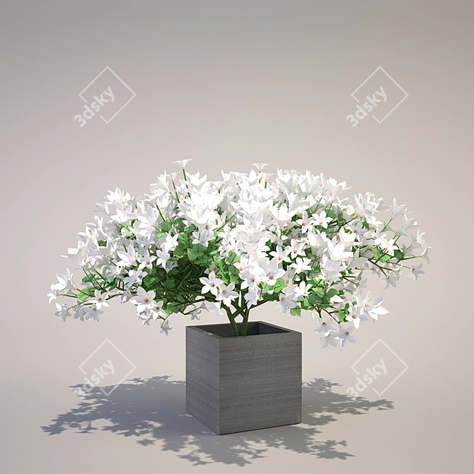 Elegant White Blooms 3D model image 1