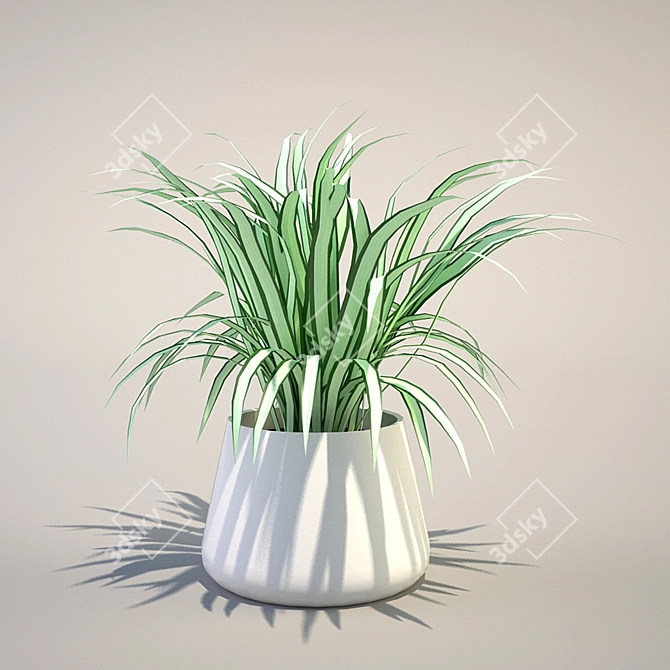 Green Life Spider Plant 3D model image 1