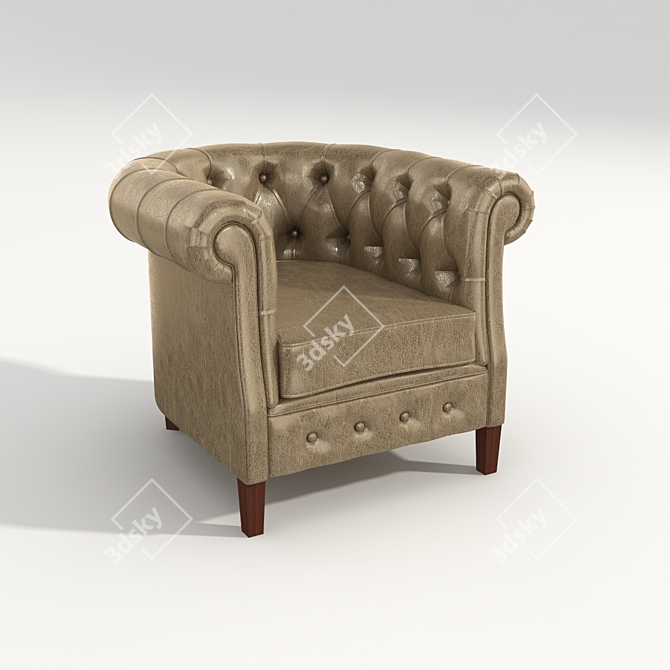 Modern Selva Chair 1443 - Includes Texture 3D model image 1