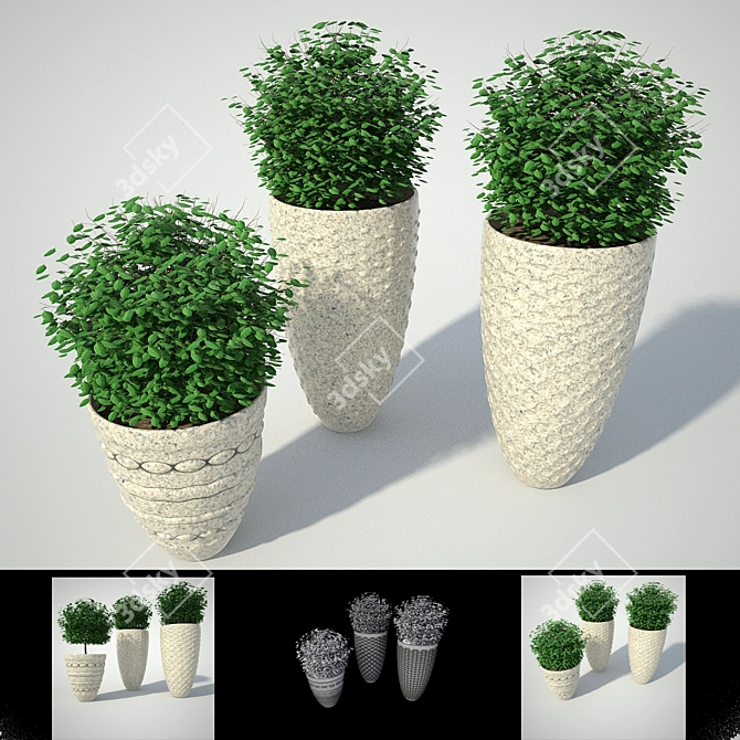 Modern Vases: BUSHS #1 3D model image 1