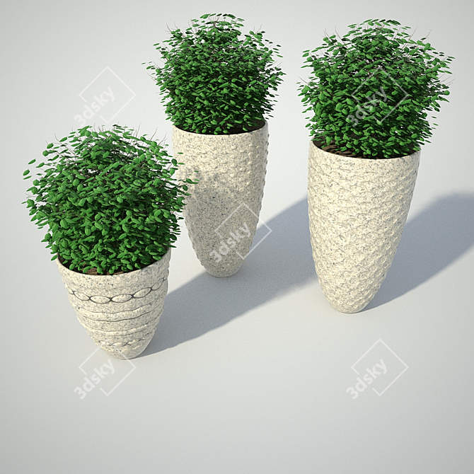 Modern Vases: BUSHS #1 3D model image 2