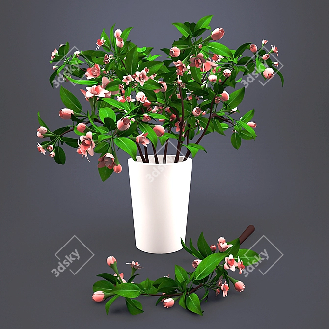 Apple Blossom Bouquet 3D model image 1