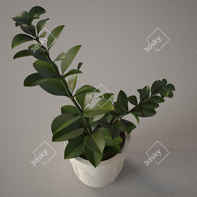 Green Oasis: Luscious Plants for Sale 3D model image 2