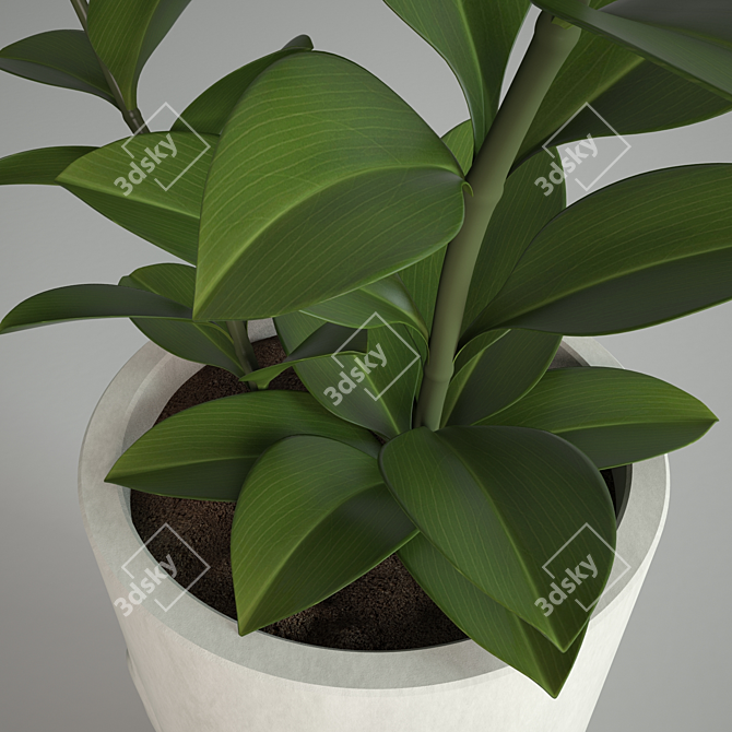 Green Oasis: Luscious Plants for Sale 3D model image 3