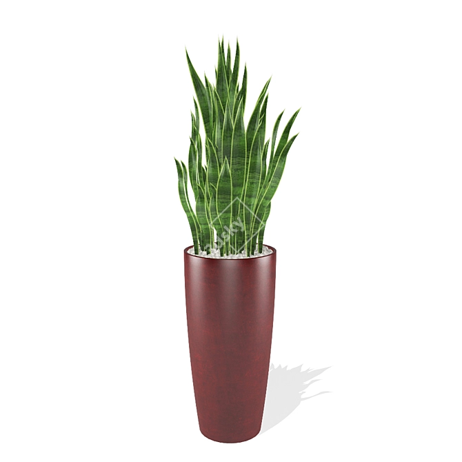 Modern Interior Sansevieria 3D model image 1