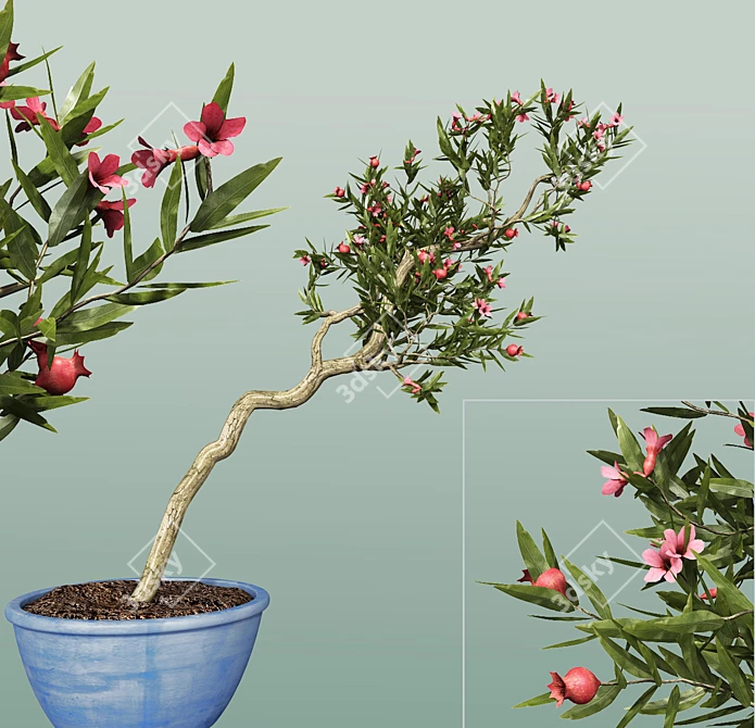 Pomegranate Tree: Blooms & Fruits 3D model image 1