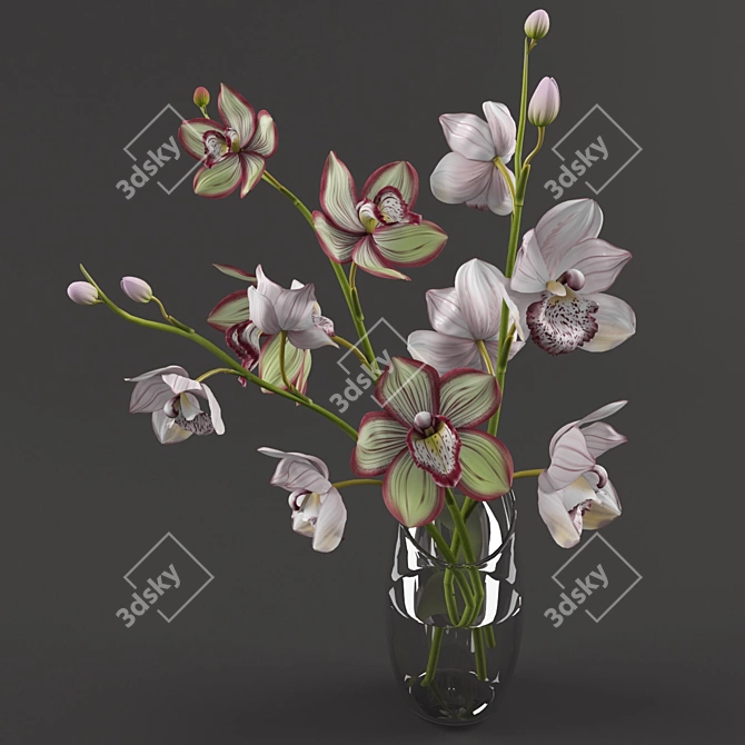 Blooming Beauty: Exquisite Orchids 3D model image 1